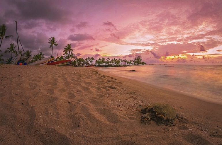 The Big Island of Hawaii 